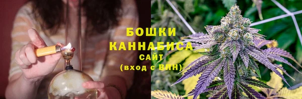 спайс Баксан