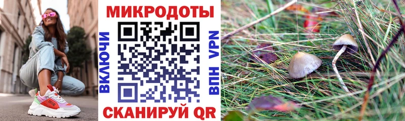 Псилоцибиновые грибы Psilocybe Лакинск